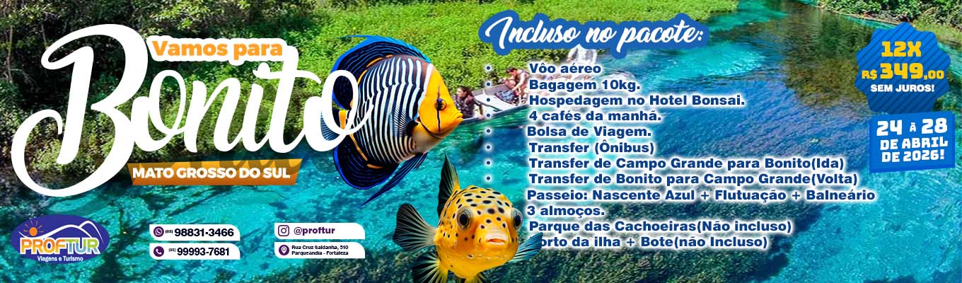 Proftur Viagens e Turismo, proftur, proftur.com.br, www.proftur.com.br, pacotes em fortaleza, Proftur Viagens e Turismo