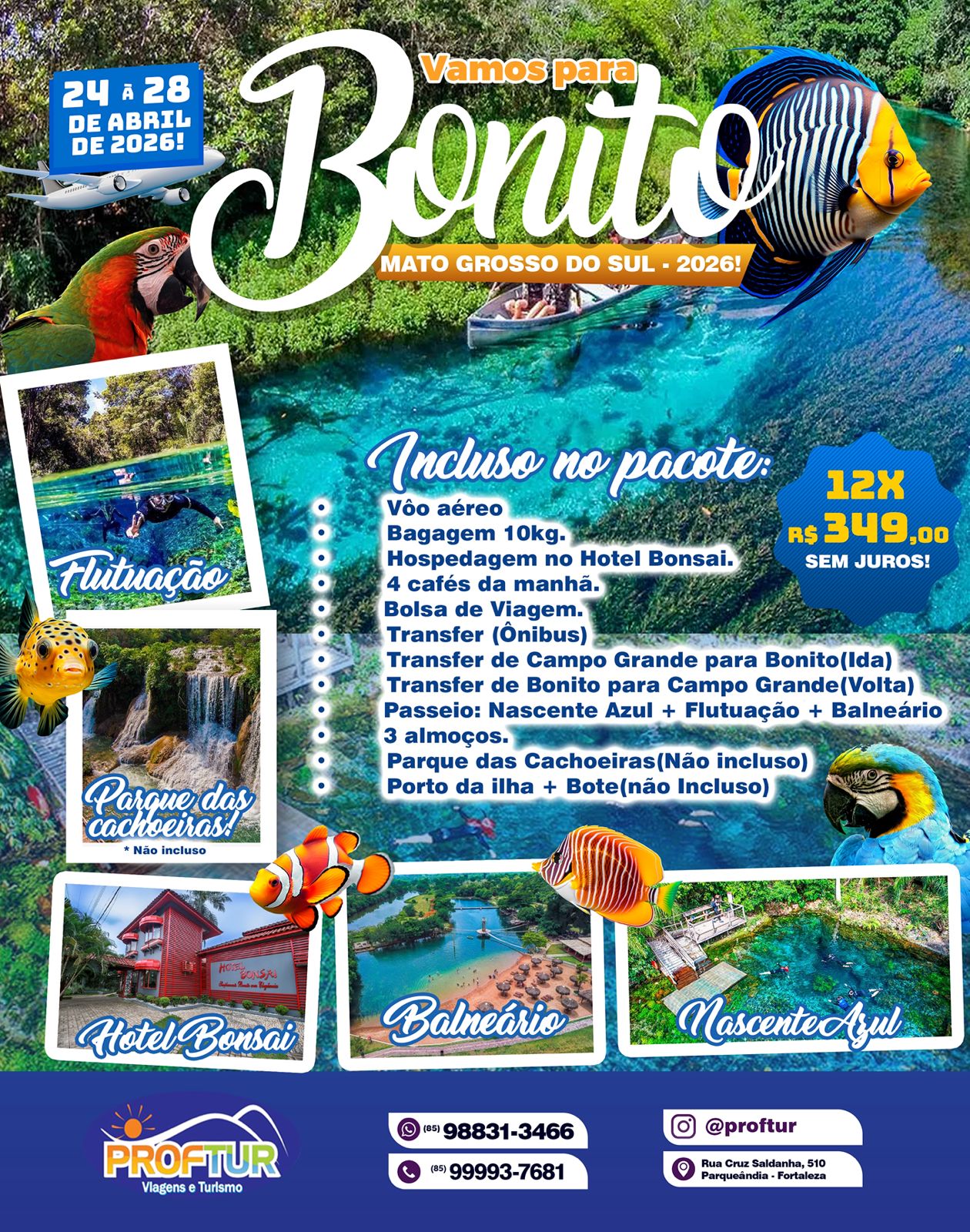 BONITO -  DE 24 A 28 DE ABRIL DE 2026